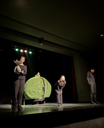 Foto IMG_8731 Foto IMG_8731